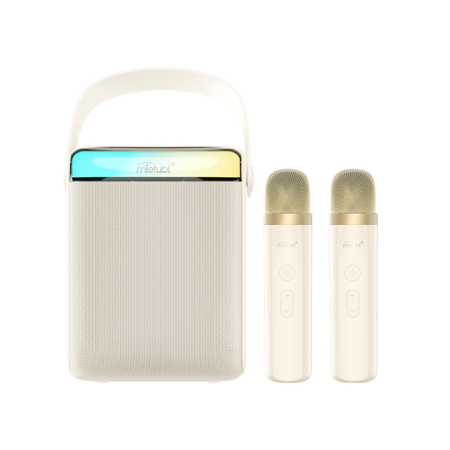 Caixa De Som Karaokê 2 Microfones Sem Fio Portátil MTB-BLSP03