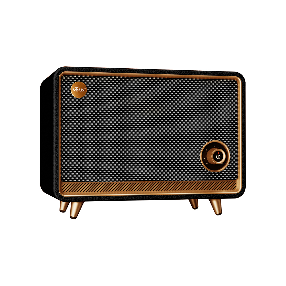 Hi-Fi Bluetooth speaker 