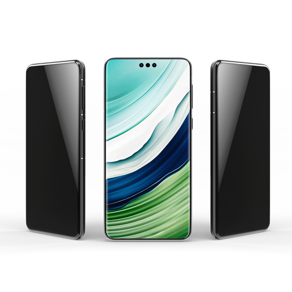 Privacy screen protector