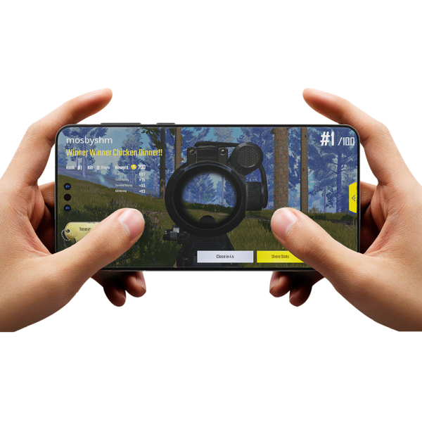 Privacy screen protector